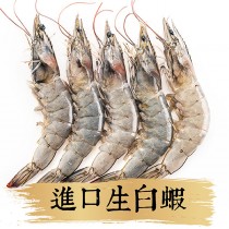 【祥鈺水產】進口生白蝦 550克重 內約24尾 31/40（盒）