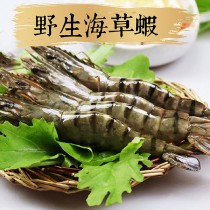 【祥鈺水產】野生海草蝦 400克重 內有5尾（盒）