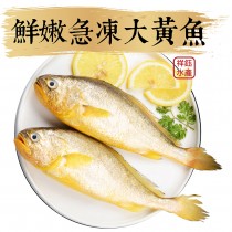 【祥鈺水產】金嫩急凍大黃魚(免運組)   約700g~800g/尾